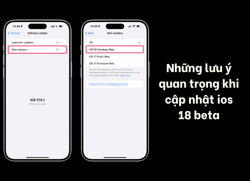 cách cập nhật iOS 18 Beta
