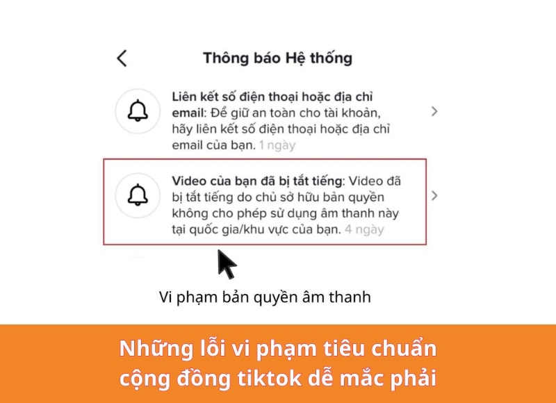 lỗi vi phạm tiêu chuẩn cộng đồng Tiktok