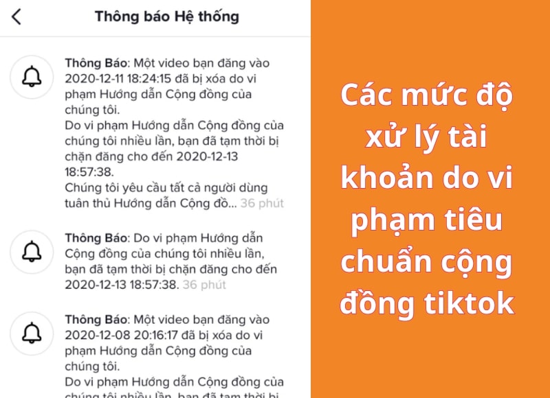 Các mức độ xử lý tài khoản do vi phạm tiêu chuẩn cộng đồng tiktok